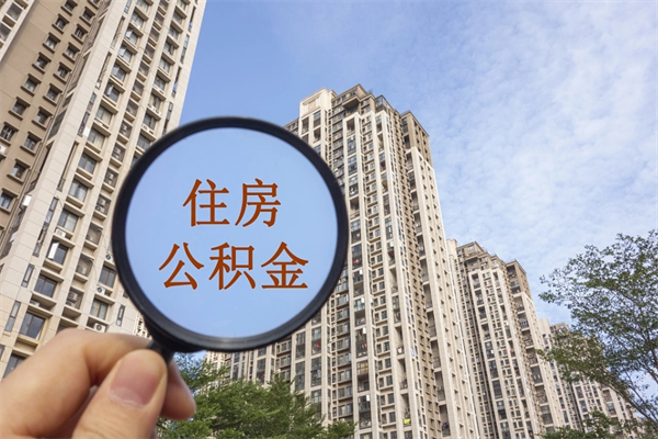 新安辞职多久公积金可以全部取出来吗（辞职之后公积金多长时间可以取）
